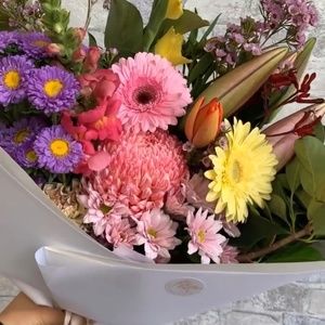 Meet your Posher, Mel